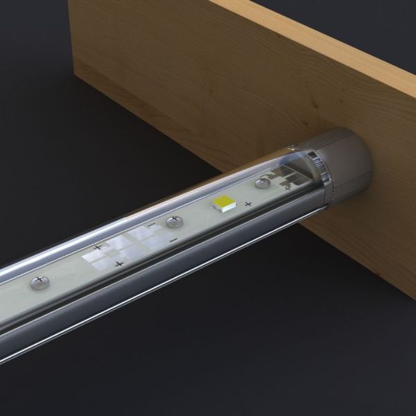 � ������