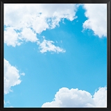 ���������� � ������� �������� ������ ����� LED SKY0606 (����� ����������� ���� ������ ������)