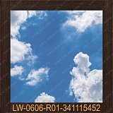 ����� ���� � ���������� 600�600�� LW-0606-R01-341115452