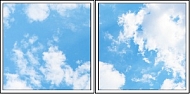 ���������� ��������� LED SKY (����,������) � ����� ������������ 2�1 ������